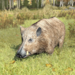 DayZ Jagen Fischen