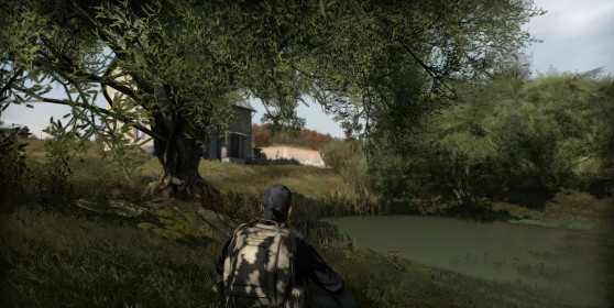 DayZ 2012