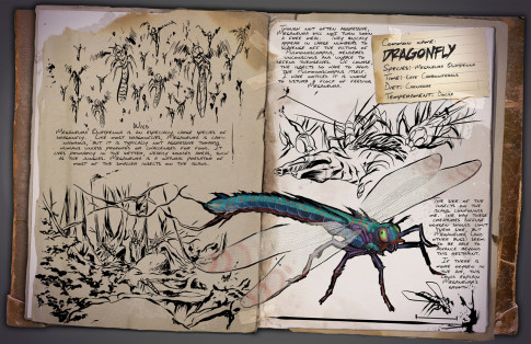 Dossier: Dragonfly | Meganeura