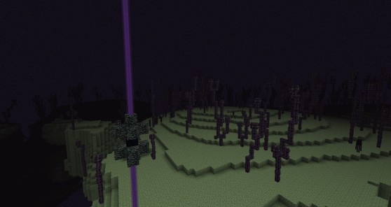 Minecraft The End Strukturen