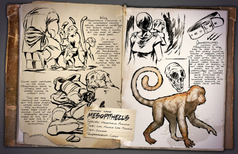 ARK Dossier Mesopithecus