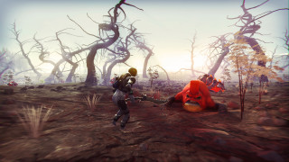GRAV Review
