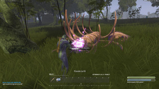 GRAV Review