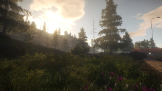 Survive the Nights Dezember Update