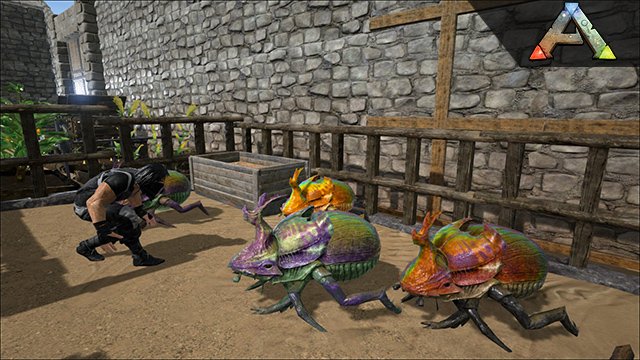 ARK Patch v232.8