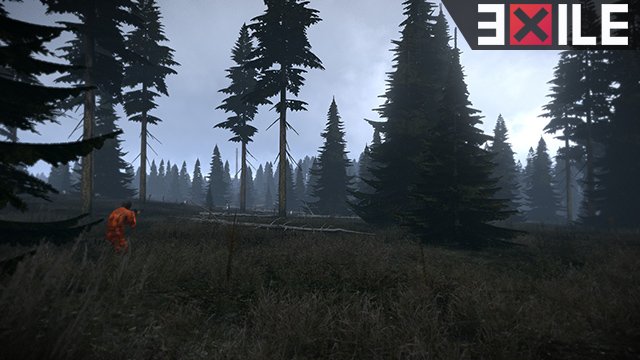 Exile Mod 0.9.6 Pomelo & Namalsk Patchnotes