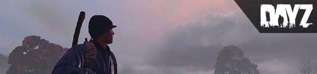 DayZ Status Report vom 06.07.2016