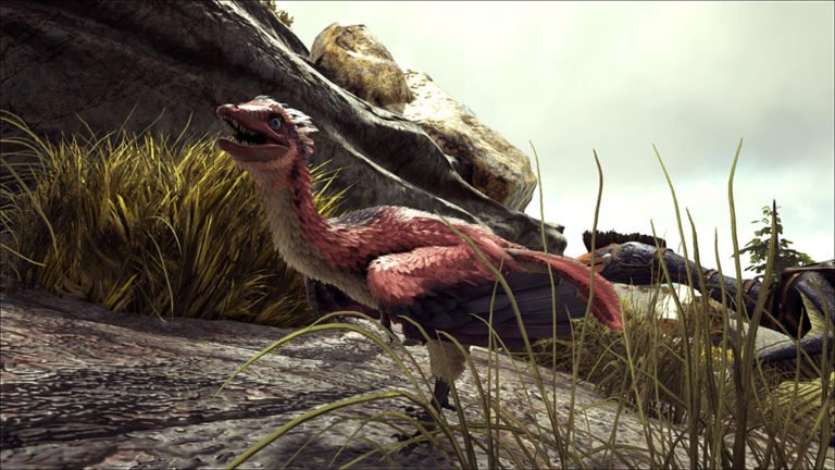 ARK Patch v247.81