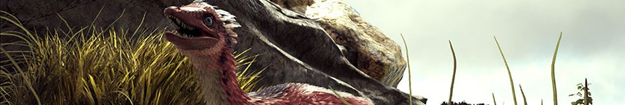 ARK Patch v247.81