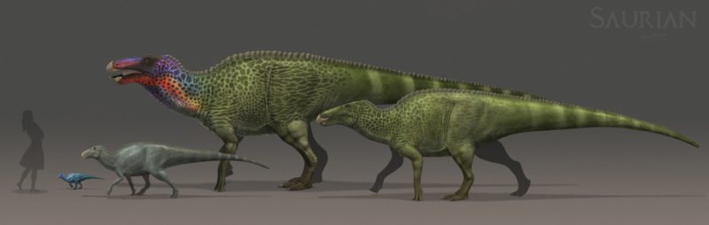 Saurian Devlog 7