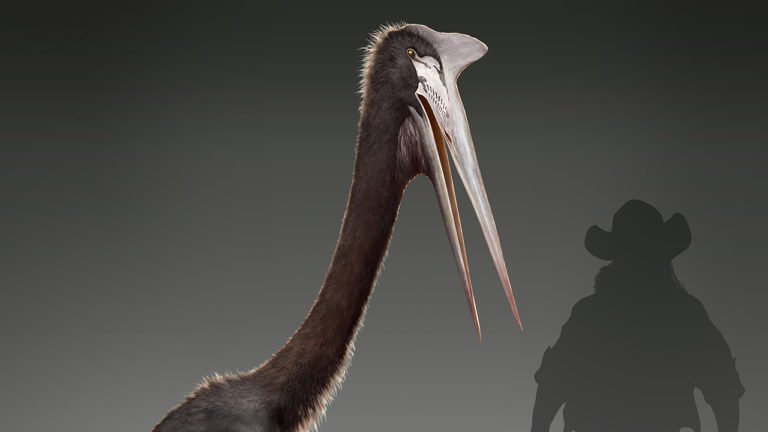 Quetzalcoatlus in Saurian