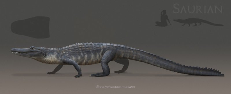 Saurian Devlog #10 - Brachychampsa