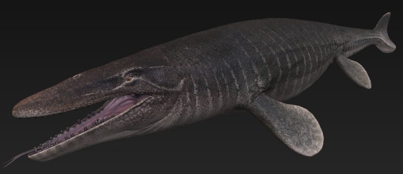 Saurian Devblog 12 - Mosasaurus