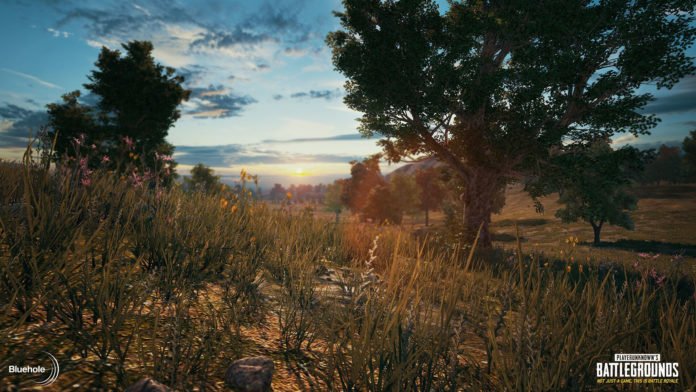 PlayerUnknowns Battlegrounds - Early-Access Patchnotes - Woche 21