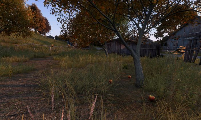 DayZ Statusreport vom 30. Januar 2018