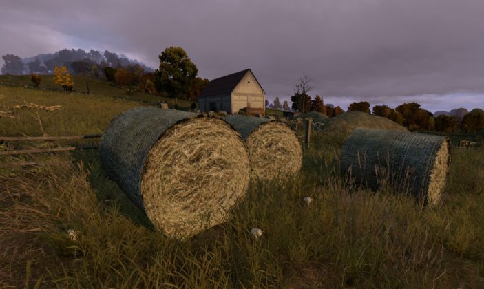 DayZ Statusreport vom 30. Januar 2018