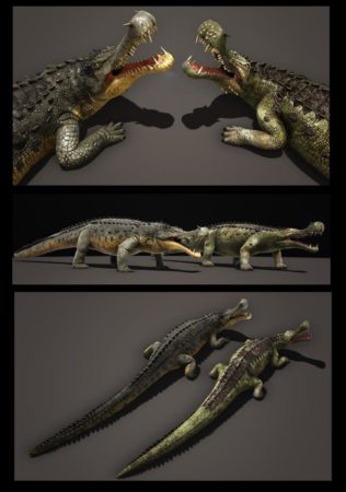 ARK Dino TLC Teil 2 - Sarcosuchus