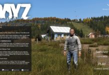 DayZ Stresstest-Guide