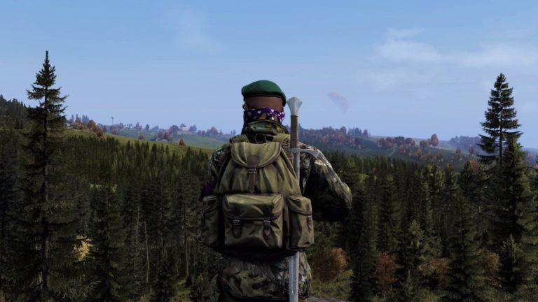 DayZ 0.63 Stresstest Vorbereitungen