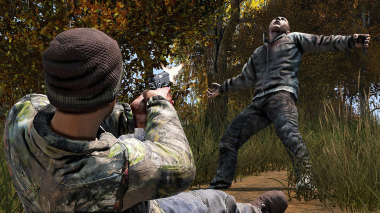 DayZ Community-Livestream Informationen