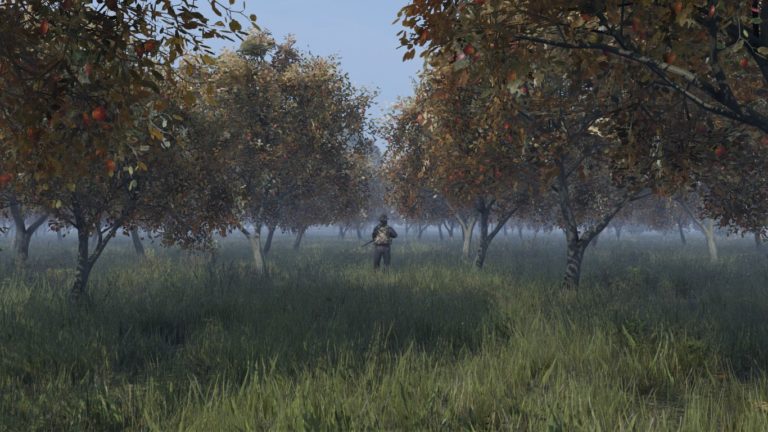 DayZ Statusreport vom 5. Juni 2018