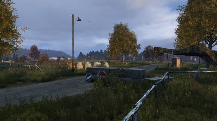 DayZ Statusreport vom 5. Juni 2018