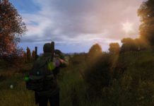 DayZ Statusreport vom 19. Juni 2018