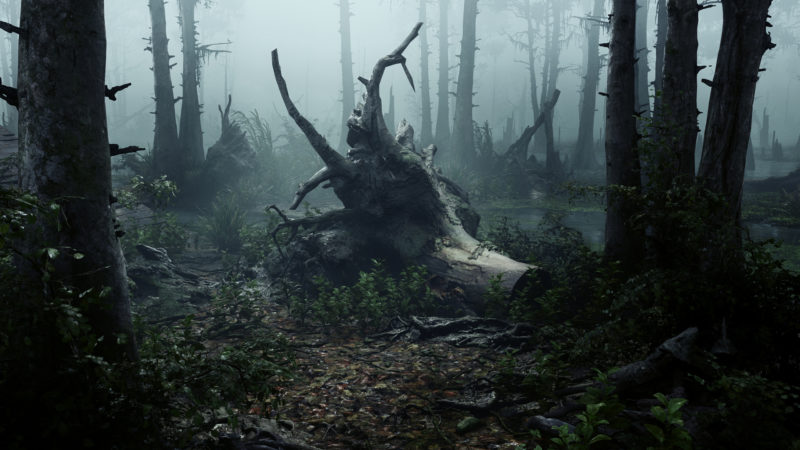 Hunt: Showdown Nebel