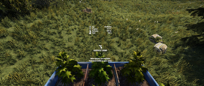 Rust Pflanzen-Informationen