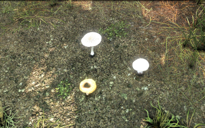 DayZ 0.63 Experimental Content Update