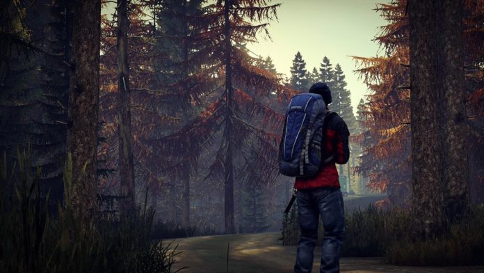 DayZ - Statusreport vom 9. Oktober 2018