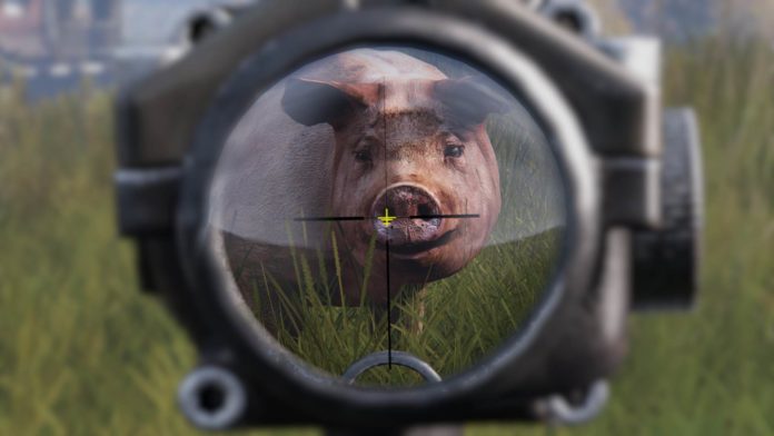 DayZ - Statusreport vom 20. November 2018