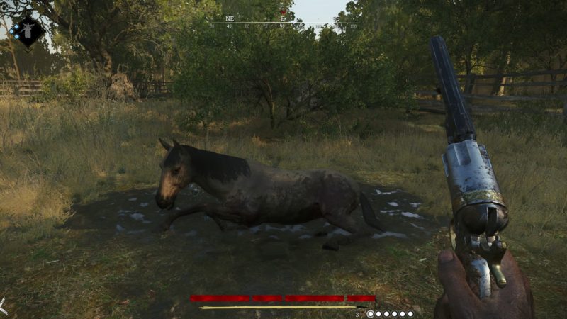Hunt: Showdown World Guide