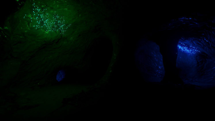 Rust - Smol Update