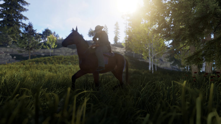 Rust Giddy Up Juni Update Pferdereiten