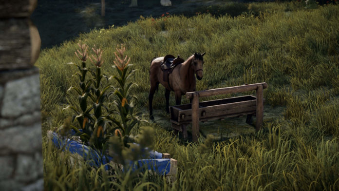 Rust Juli-Update Pferde