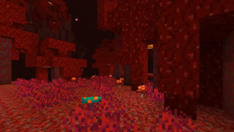 Minecraft Nether Update 1.16