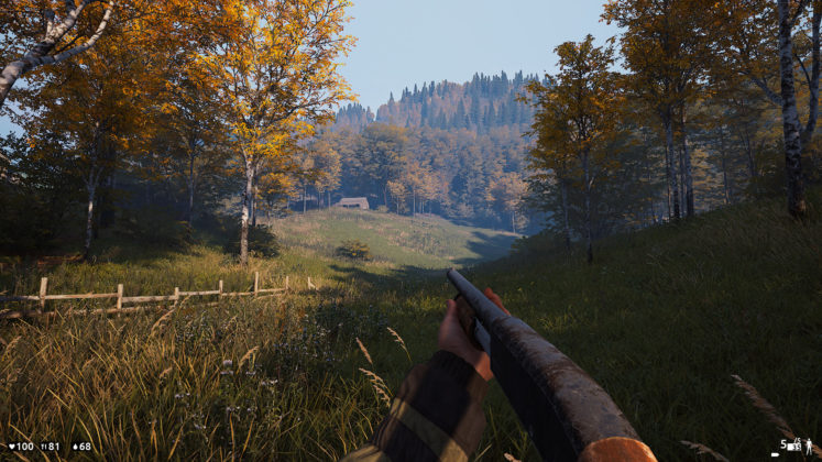 Deadside Landschaft