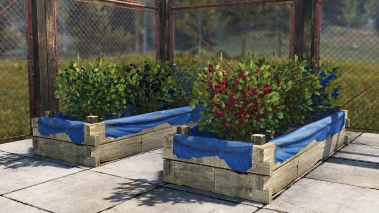 Rust - Mixing Table Update Beeren