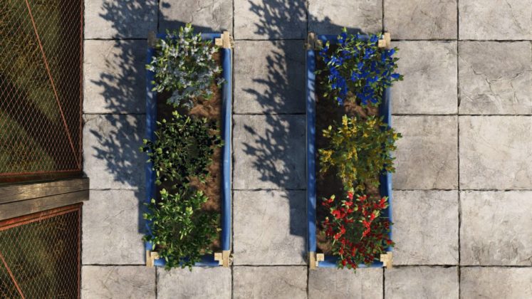Rust - Mixing Table Update Beeren