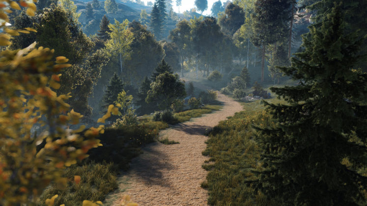Rust Elevator Update - Feldwege