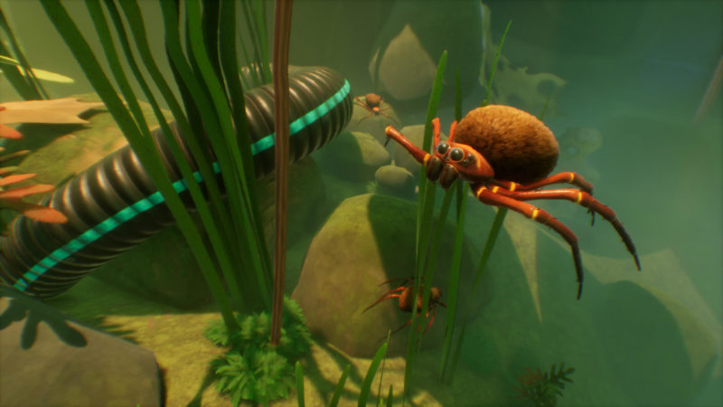 Grounded - Koi Pond Update Spinne