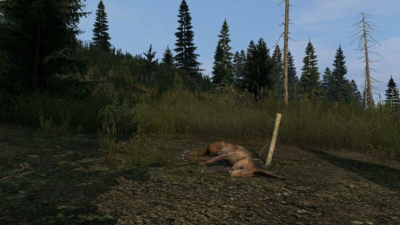 DayZ Experimental-Update 1.14 - Fallen