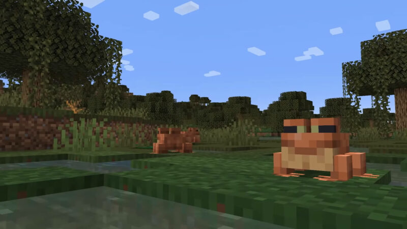 Minecraft - The Wild-Update- Frösche