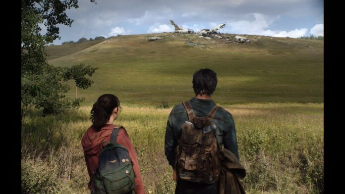 The Last of Us Serie Bild