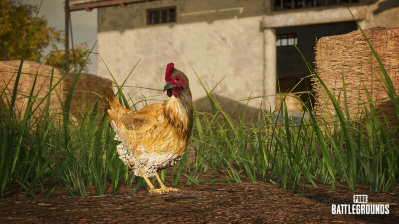 PUBG - Update 14.2 - Huhn