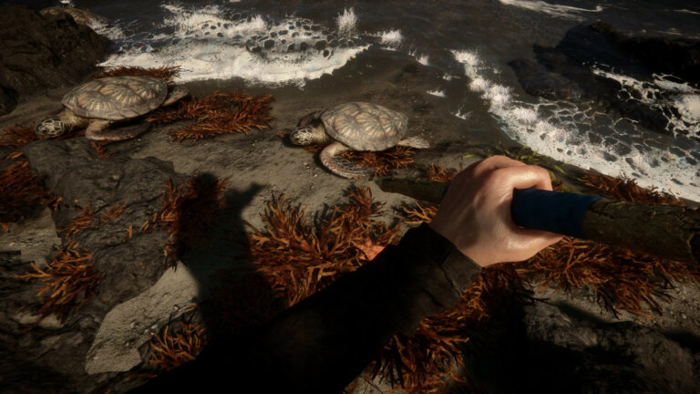 Sons of the Forest Release verschoben