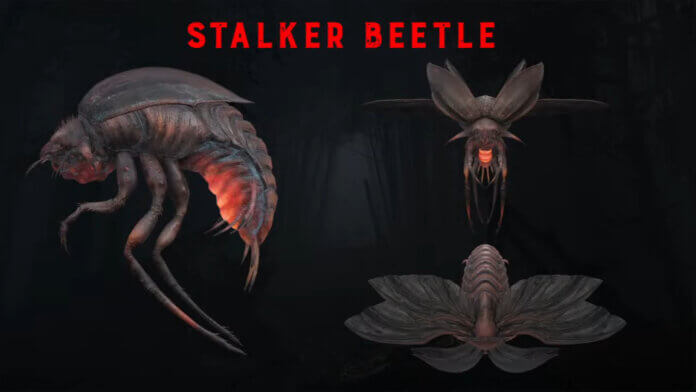 Hunt: Showdown - Update 1.10 & Stalker Beetle