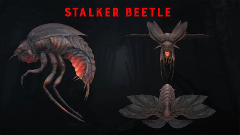 Hunt: Showdown – Stalker Beetle & Questlines in Update 1.10