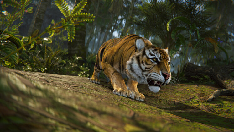 Rust - Tiger - Jungle Update